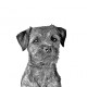 La nueva colección de pendientes con imágenes de perros de raza pura!!!