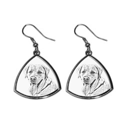 Labrador Retriever,collection of earrings with images of purebred dogs, unique gift