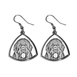 Newfoundland,collection of earrings with images of purebred dogs, unique gift