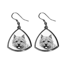 Norwich Terrier,collection of earrings with images of purebred dogs, unique gift