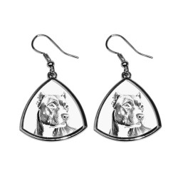 American Pit Bull Terrier,collection of earrings with images of purebred dogs, unique gift