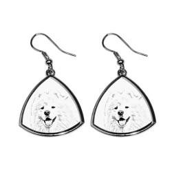 Samoyed,collection of earrings with images of purebred dogs, unique gift