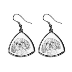 Shih Tzu,collection of earrings with images of purebred dogs, unique gift