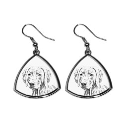 Weimaraner,collection of earrings with images of purebred dogs, unique gift