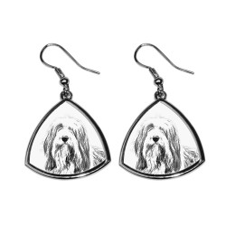Bearded Collie,collection of earrings with images of purebred dogs, unique gift