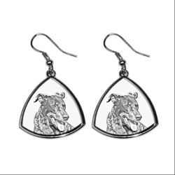 Beauceron,collection of earrings with images of purebred dogs, unique gift