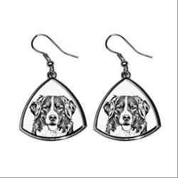 Bernese Mountain Dog,collection of earrings with images of purebred dogs, unique gift