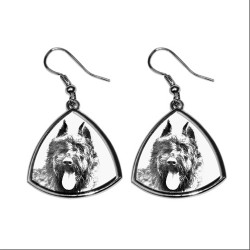 Flandres Cattle Dog,collection of earrings with images of purebred dogs, unique gift