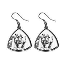 Caucasian Shepherd Dog,collection of earrings with images of purebred dogs, unique gift