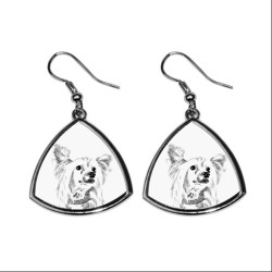 Chinesische Schopfhund, Neue Kollektion der Ohrringe mit Bild der Rassehunde, schön Geschenk