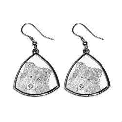 Collie,collection of earrings with images of purebred dogs, unique gift