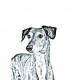 Chien-loup tchécoslovaque- collection de porte-clés avec des images de chiens de race pure, cadeau unique, sublimation