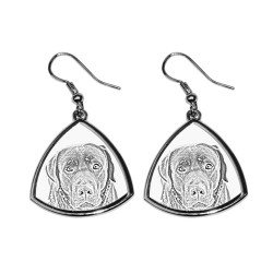 Labrador Retriever,collection of earrings with images of purebred dogs, unique gift