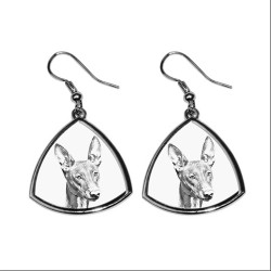Pharaoh Hound,collection of earrings with images of purebred dogs, unique gift