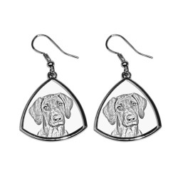 Rhodesian Ridgeback,collection of earrings with images of purebred dogs, unique gift