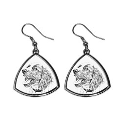 English Springer Spaniel,collection of earrings with images of purebred dogs, unique gift