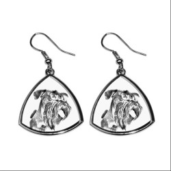Cesky Terrier,collection of earrings with images of purebred dogs, unique gift