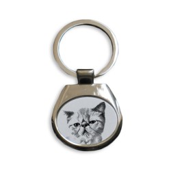 Exotic shorthair - collection de porte-clés avec des images de chats de race pure, cadeau unique, sublimation