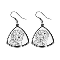 Pyrenean Shepherd,collection of earrings with images of purebred dogs, unique gift