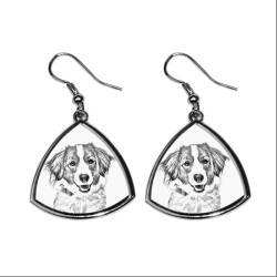 Kooikerhondje,collection of earrings with images of purebred dogs, unique gift