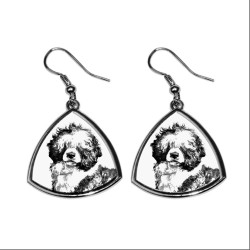 Portuguese Water Dog,collection of earrings with images of purebred dogs, unique gift