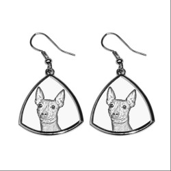 American Hairless Terrier,collection of earrings with images of purebred dogs, unique gift