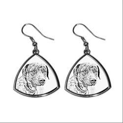 Catahoula Cur,collection of earrings with images of purebred dogs, unique gift