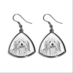 Coton de Tuléar,collection of earrings with images of purebred dogs, unique gift