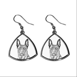 Dutch Shepherd Dog,collection of earrings with images of purebred dogs, unique gift