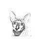 La nouvelle collection de boucles d'oreilles avec des images de chats de race