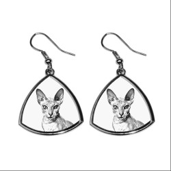 Peterbald, collection of earrings with images of purebred cats, unique gift