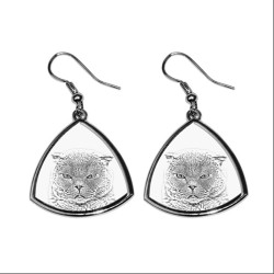 Scottish Fold, collection of earrings with images of purebred cats, unique gift