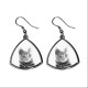 Chartreux , collection of earrings with images of purebred cats, unique gift