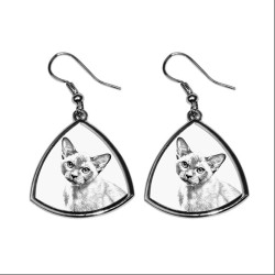 Burmese, collection of earrings with images of purebred cats, unique gift