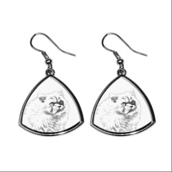 Himalayan, collection of earrings with images of purebred cats, unique gift