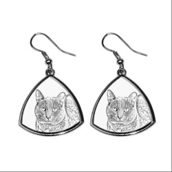 Korat, collection of earrings with images of purebred cats, unique gift