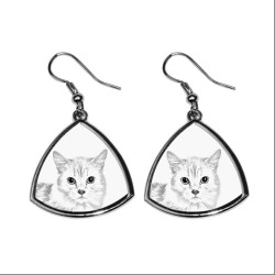 Munchkin, collection of earrings with images of purebred cats, unique gift