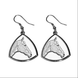 Retired Race Horse, collection of earrings with images of purebred horse, unique gift
