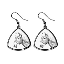 Haflinger, collection of earrings with images of purebred horse, unique gift