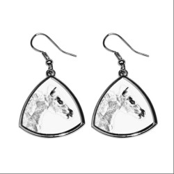 Falabella, collection of earrings with images of purebred horse, unique gift