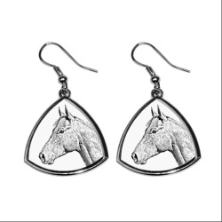 Holsteiner- La nouvelle collection de boucles d'oreilles avec des images de chevals de race