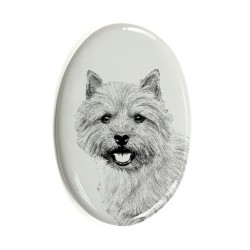 Norwich Terrier- Keramikplatte, Grabplatte, oval mit Bild eines Hundes.