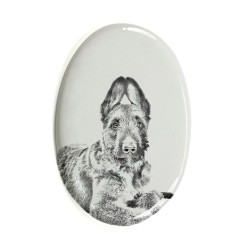 Laekenois- Gravestone oval ceramic tile with an image of a dog.
