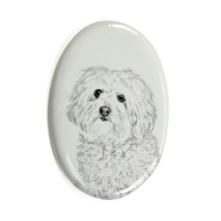 Bolognese- Gravestone oval ceramic tile with an image of a dog.