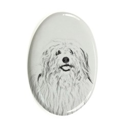 Coton de Tuléar- Gravestone oval ceramic tile with an image of a dog.