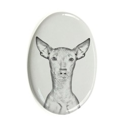 Peruvian Hairless Dog- Gravestone oval ceramic tile with an image of a dog.
