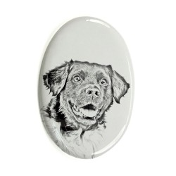 Stabyhoun- Gravestone oval ceramic tile with an image of a dog.