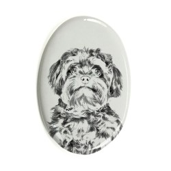 Bolonka- Gravestone oval ceramic tile with an image of a dog.