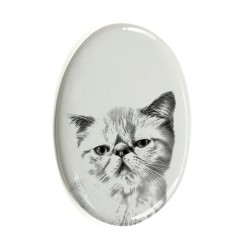 Kot egzotyczny- płytka ceramiczna, nagrobkowa z wizerunkiem kota