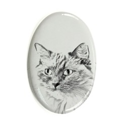 Gravestone oval ceramic tile with an image of a cat.